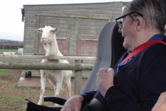 A trip to the farm