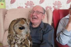 A visiting owl