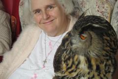 A visiting owl