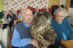 A visiting owl