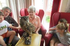 A visiting owl