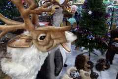 A spot of Christmas shopping