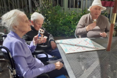 Ice creams in the sunshine