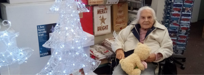 Christmas shopping outing care home Devon Christmas shopping outing care home Devon