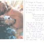 Pinewood residential nursing care home Devon testimonial