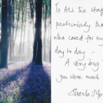 Pinewood residential nursing care home Devon testimonial